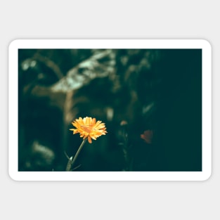 Yellow Flower Sticker